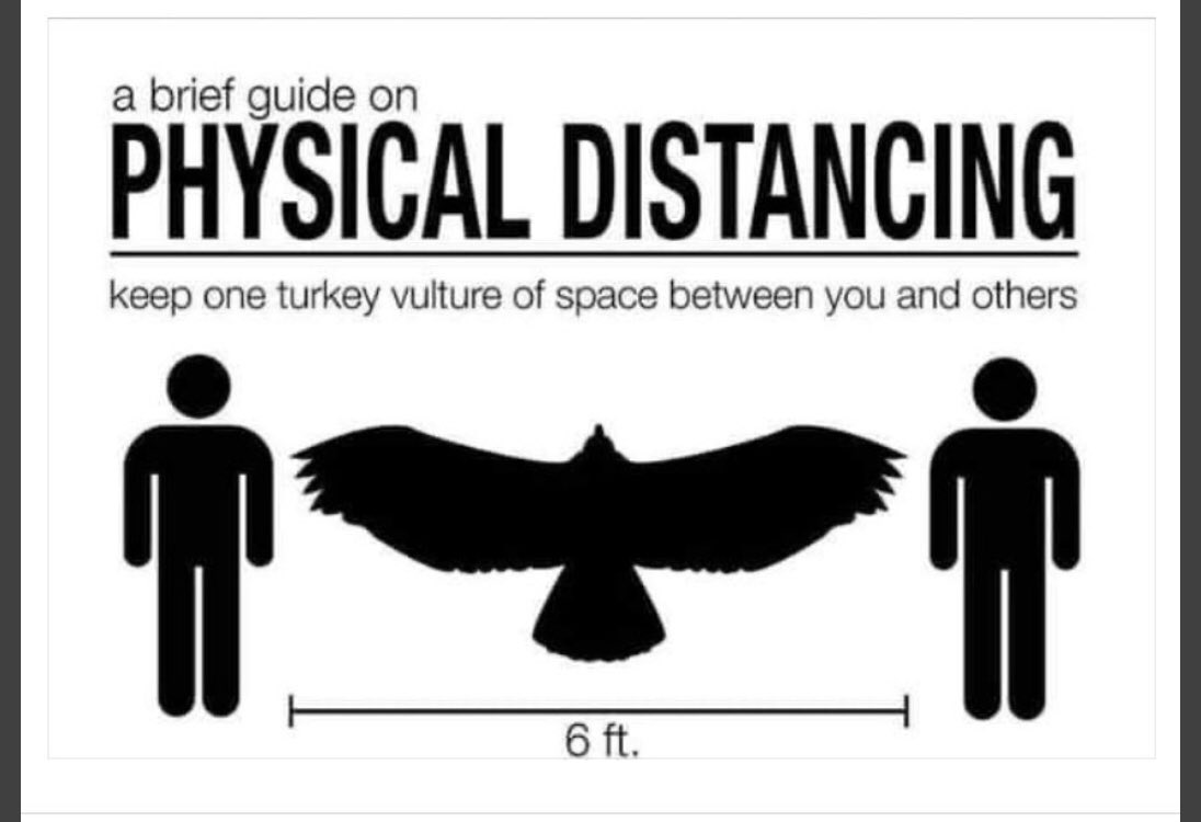 Oh don’t mind me, I’m just preparing my math lesson for tomorrow.  #vulturesasmeasurement  #unitchat  #SocialDistancing Remember, on family or members of your household may come in your  #personalspacebubble And wash your hands.