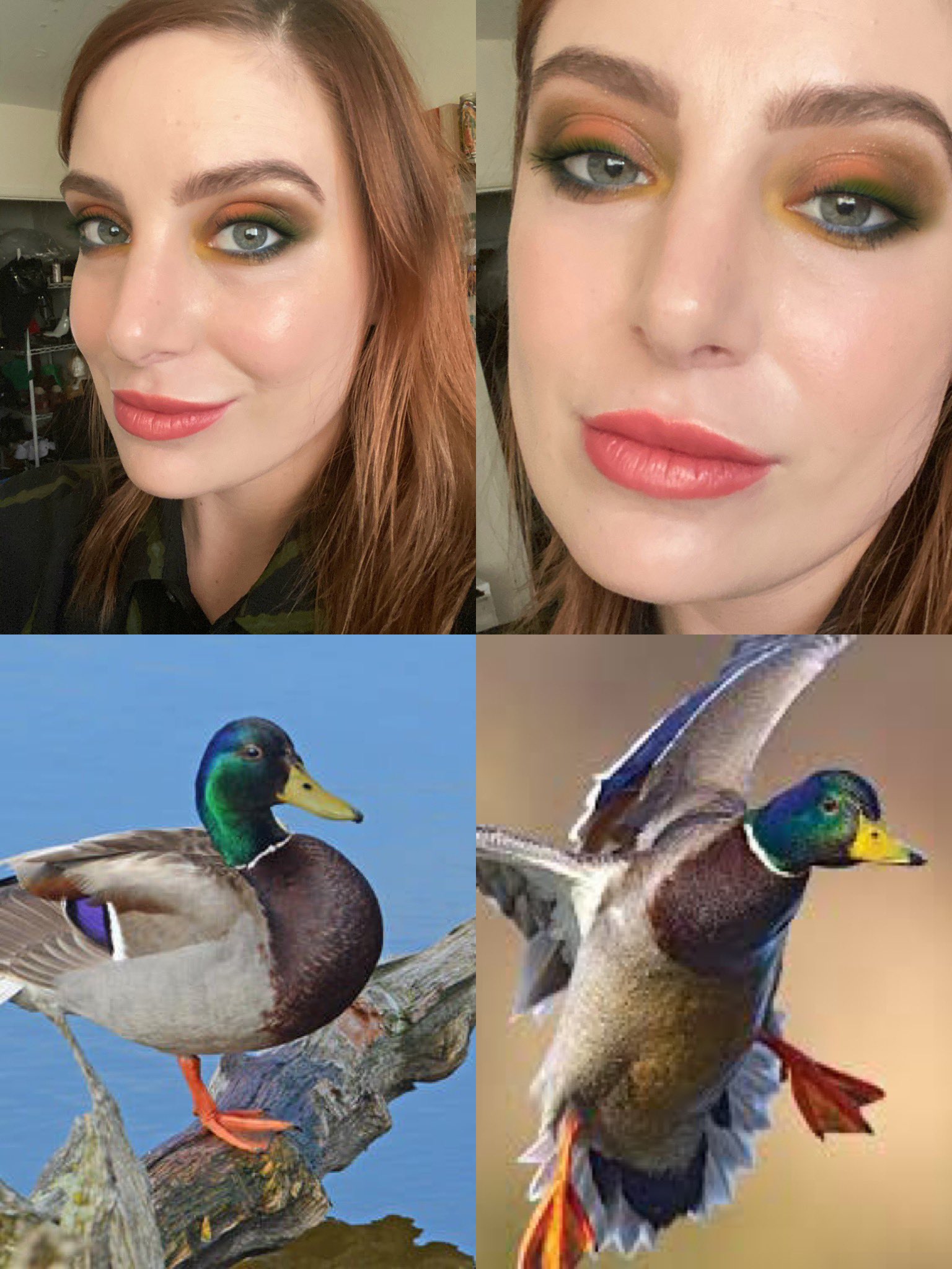 Got so high I did a makeup look inspired by ducks...🦆 https://t.co/aHmw5dnZHW