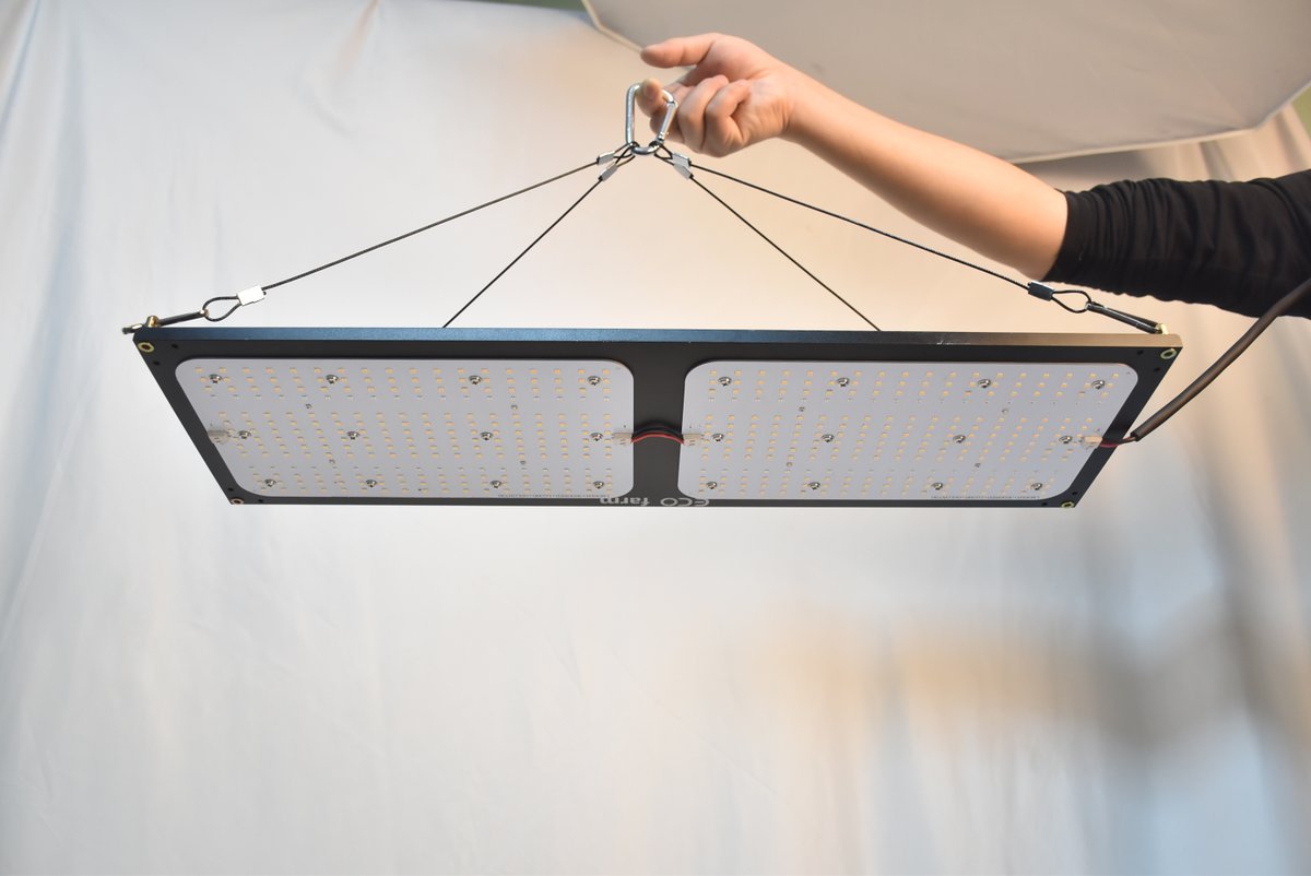 RitaBai6's tweet image. ECO FARM 240W V3 SAMSUNG LM301H+3030RED+LG395+OSLON730 WITH KNOB DIMMING QUANTUM BOARD LED GROW LIGHT
240W Quantum Board V3 LM301H highest efficiency grow light 600w HPS equivalent
 #ledgrowlights  #fullspectrum #quantumboards #growtent #cannabisgrowlights #cannabiscommunity