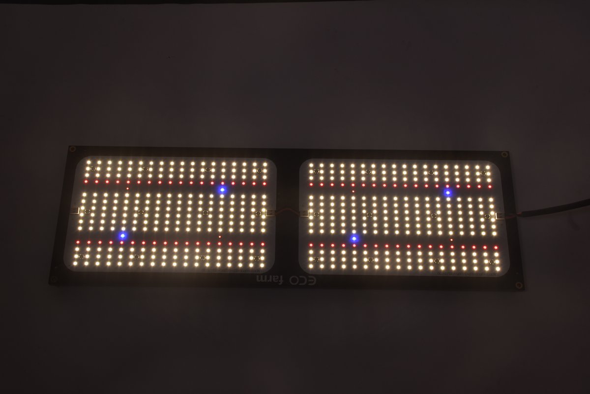 RitaBai6's tweet image. ECO FARM 240W V3 SAMSUNG LM301H+3030RED+LG395+OSLON730 WITH KNOB DIMMING QUANTUM BOARD LED GROW LIGHT
240W Quantum Board V3 LM301H highest efficiency grow light 600w HPS equivalent
 #ledgrowlights  #fullspectrum #quantumboards #growtent #cannabisgrowlights #cannabiscommunity