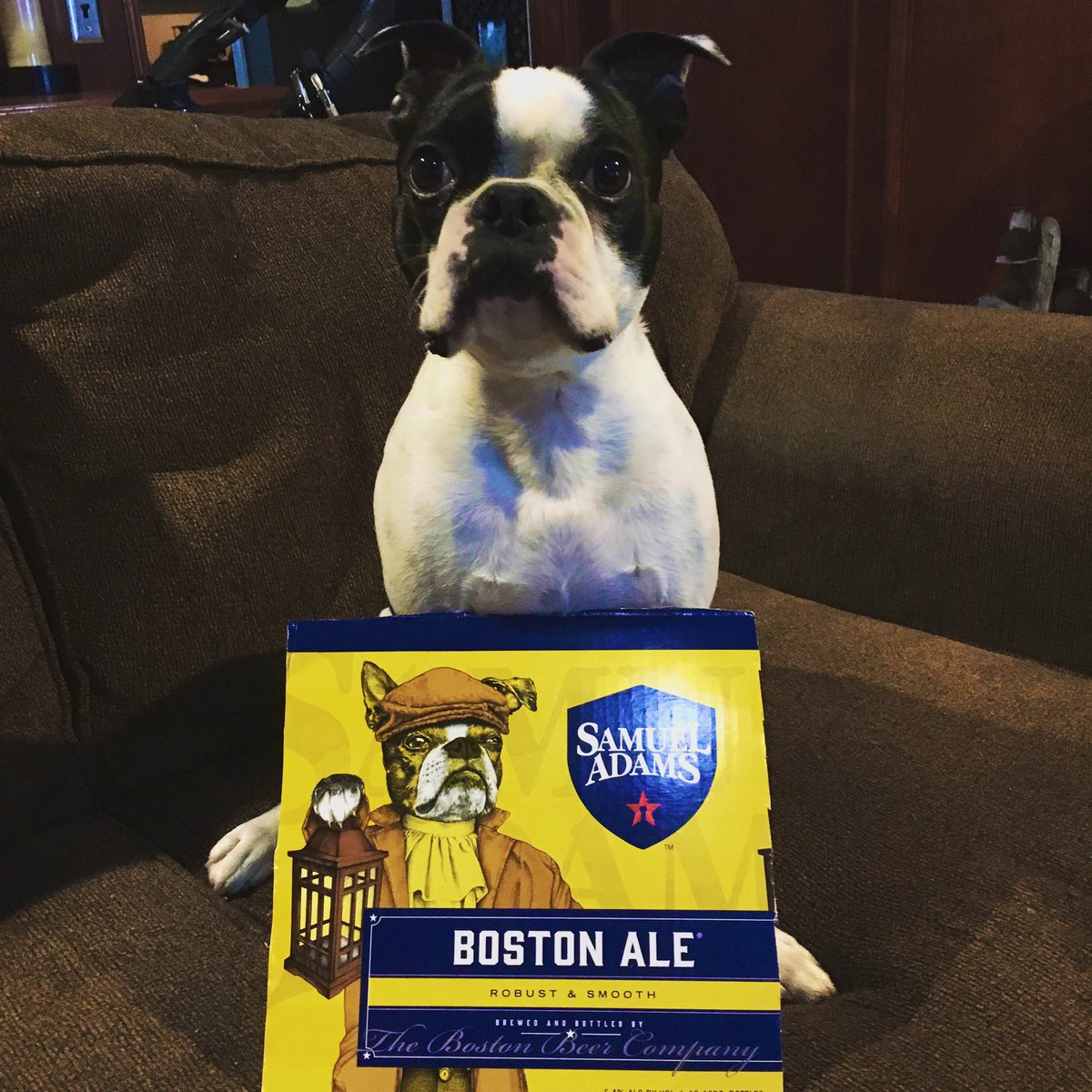 As our Texas followers show us here, sometimes you gotta stick to your roots and buy local even when you’re in a different time zone, especially when the label and your pup have something in common!

#craftbeer #bostonterrier #bostonbeer #samadamsbrewery #sundayfunday #brewdog