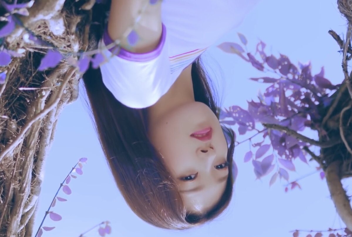 we see the frog upside down and a small round mirror, both symbols of choerry
