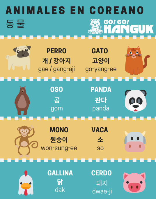 gogohanguk_es's tweet photo. 🇰🇷Seguimos aprendiendo nuevo vocabulario coreano y ahora es el turno de los animales. 🐱🐻🐼🐔🐵🐷 ¿Sabes cómo decir tu animal preferido en coreano?

#Corea #Hanguk #Coreano #Korean #studyabroad #studyingkorean #estudiarencorea #encorea https://t.co/8euveK1upB