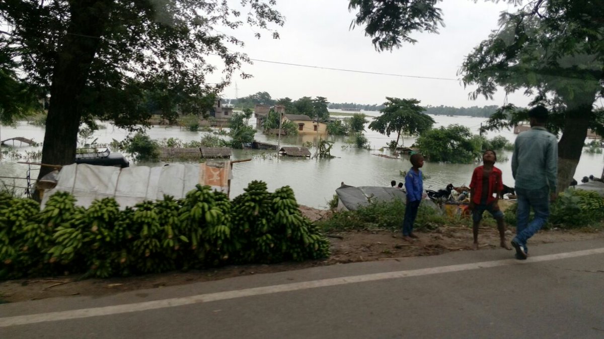 digamber_kd's tweet photo. Say something about our Vaishali (ancient city). Criticism would be especially welcome. https://t.co/Hk4OUrwp5k