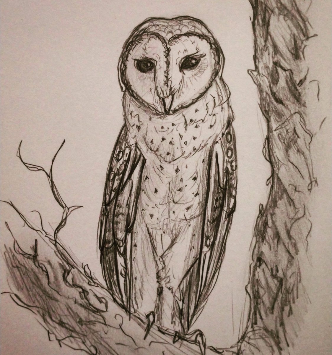 Michele Altenkirch tweet media