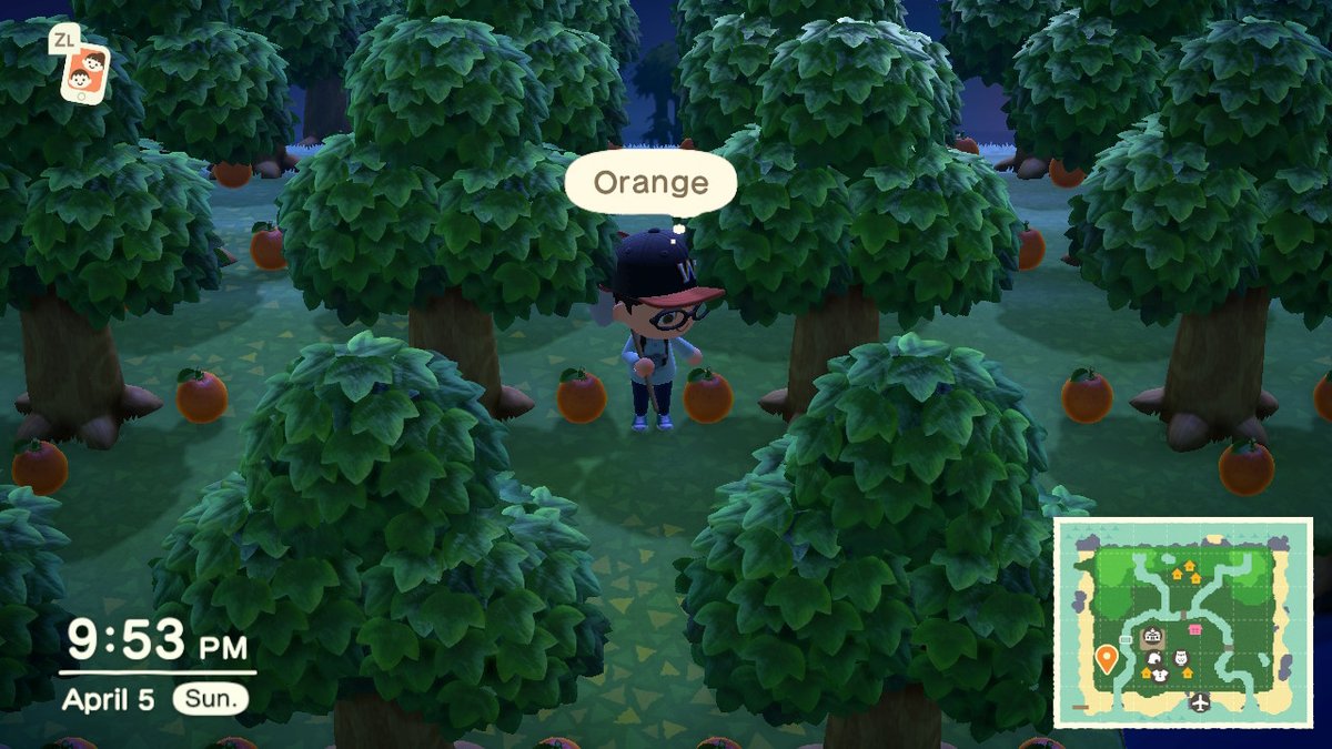 AmazingKen216's tweet photo. #AnimalCrossing #ACNH #NintendoSwitch https://t.co/MejLwTPYTm