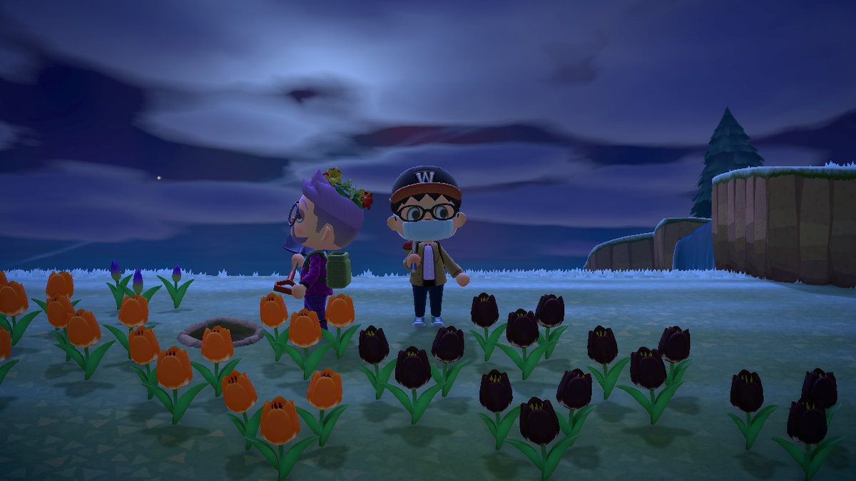 AmazingKen216's tweet photo. #AnimalCrossing #ACNH #NintendoSwitch https://t.co/MejLwTPYTm