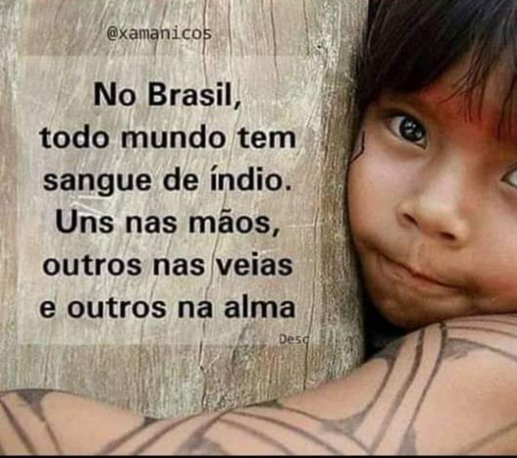 casdefigueiredo's tweet photo. #NOBolsonaro #DemarcacaoJa https://t.co/E4F9cpWdlL