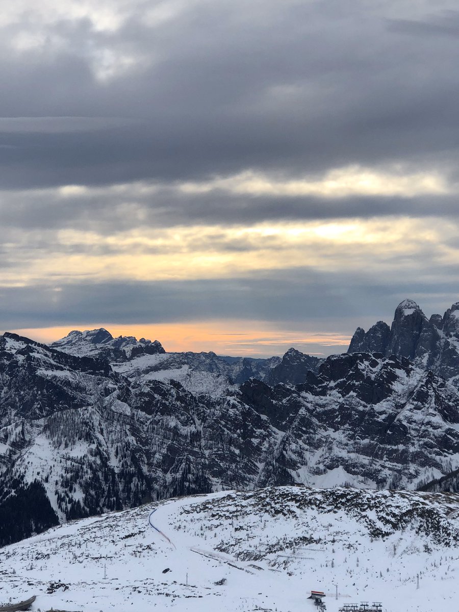 Karen Sutton, MD, FAAOS tweet media