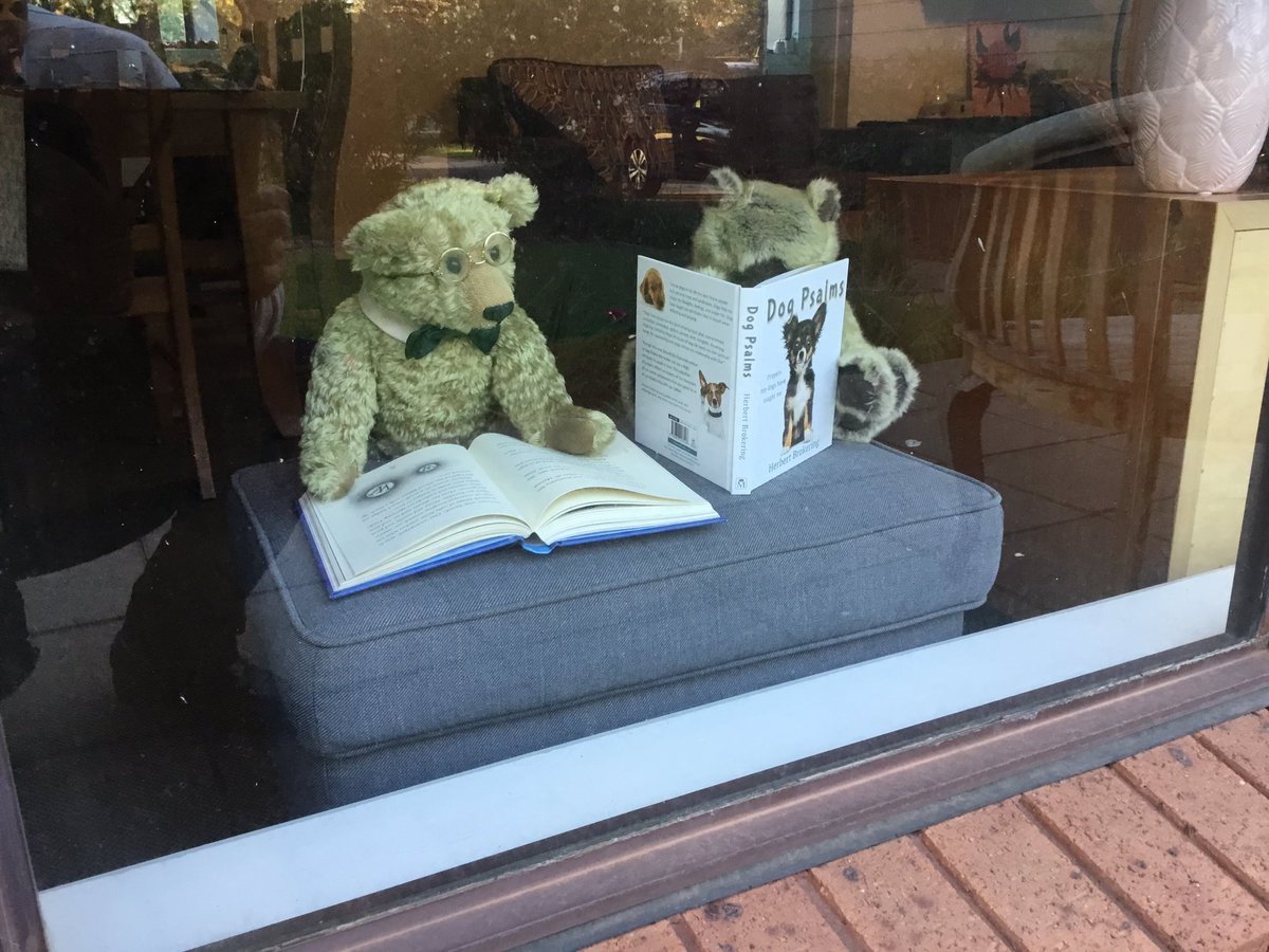 robert_herrick's tweet photo. #cbrbearhunt #bearhunt #Canberra #StayHomeAustralia https://t.co/9p0tovDLUY