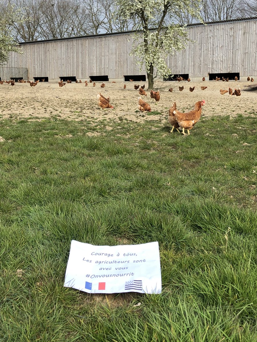 OSourdin's tweet photo. Merci aux personnels #soignants et à tous les #HérosduQuotidien qui travaillent chaque jour pour nous tous! 🙏🏽👏⛑🥼 🚑 @Fragritwittos @agriculteursBzh @JoliesRousses @PacteauM @JoubierMicka @cquifontoeufs @CedricetLydie @CFA_Aviculteurs @PoulesetVignes 🥚🐔🥚🍀☀️ https://t.co/Y7zTosN2im