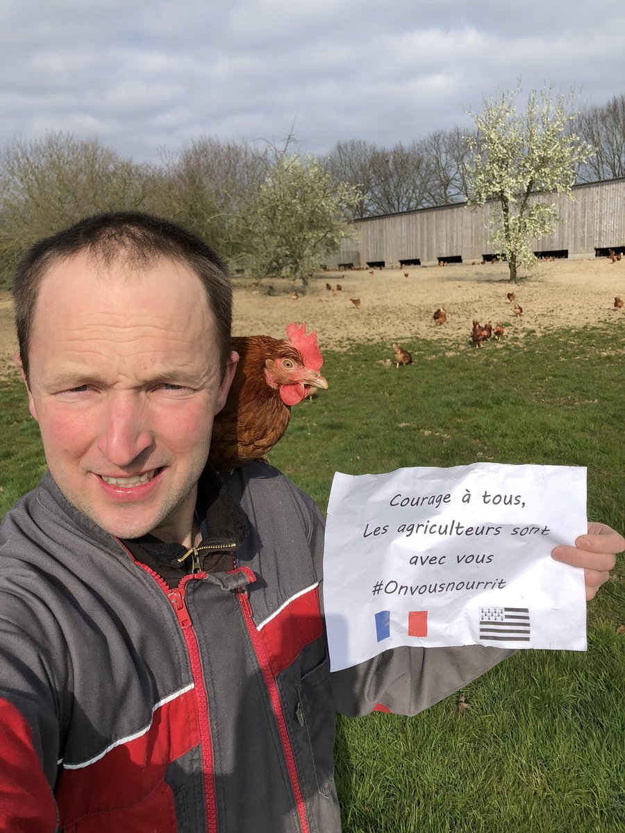 OSourdin's tweet photo. Merci aux personnels #soignants et à tous les #HérosduQuotidien qui travaillent chaque jour pour nous tous! 🙏🏽👏⛑🥼 🚑 @Fragritwittos @agriculteursBzh @JoliesRousses @PacteauM @JoubierMicka @cquifontoeufs @CedricetLydie @CFA_Aviculteurs @PoulesetVignes 🥚🐔🥚🍀☀️ https://t.co/Y7zTosN2im