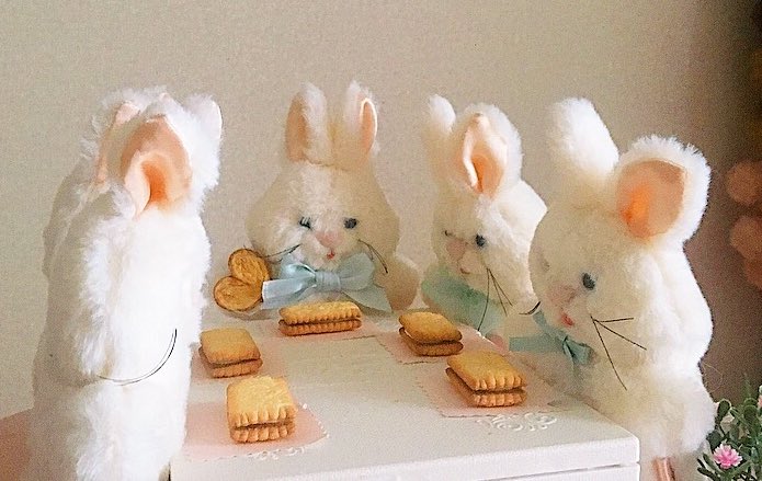 ☕️ ビスコの会 ☕️🐰
