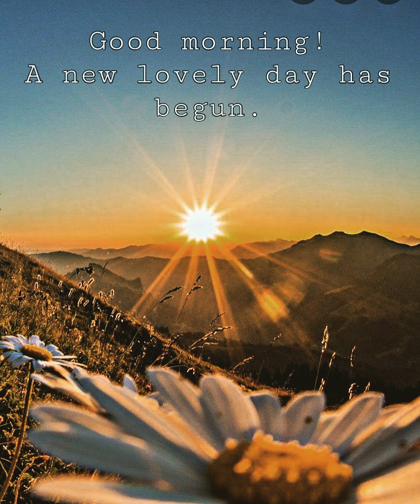 Annsahlborg's tweet photo. Good morning everybody! Are you ready to achieve your goals? Please let me know.
Follow on Instagram @biglifesuccess #wisequotes #quotes #mindfullness #success https://t.co/HKpkEpk41P