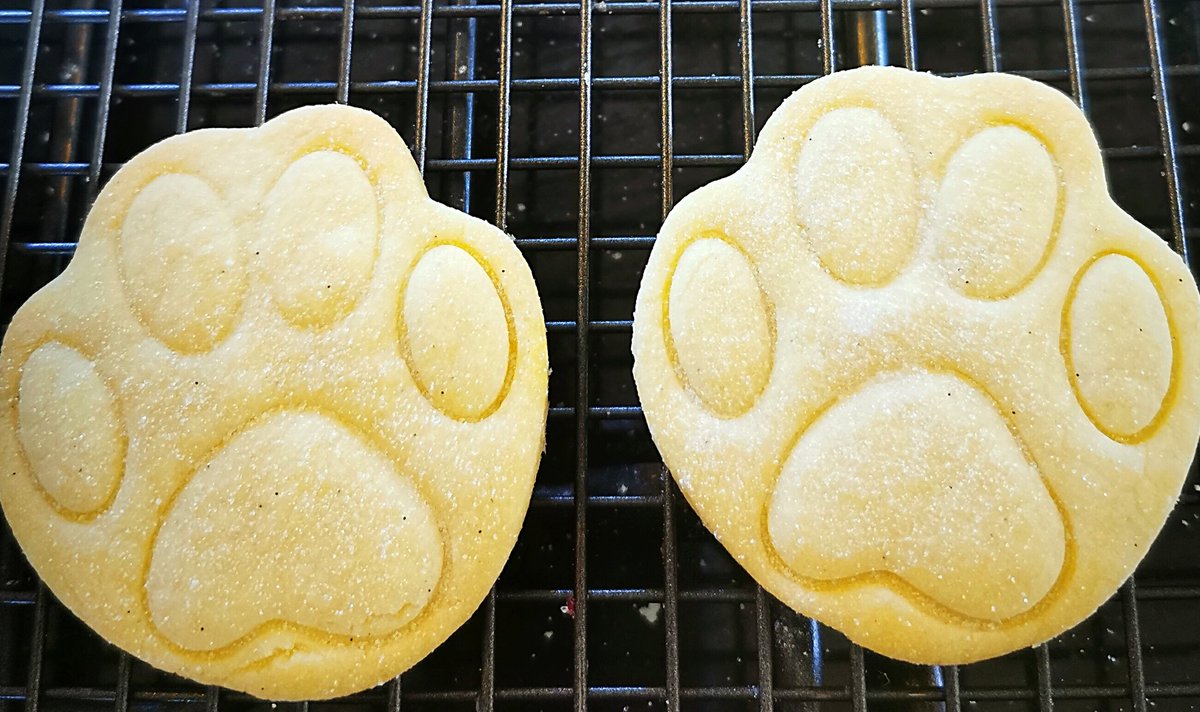 PS: we had a little bit of dough left over so we made these biscuits specially for our friend  @OutwoodsCat, who has the most excellent biscuit-paws. 