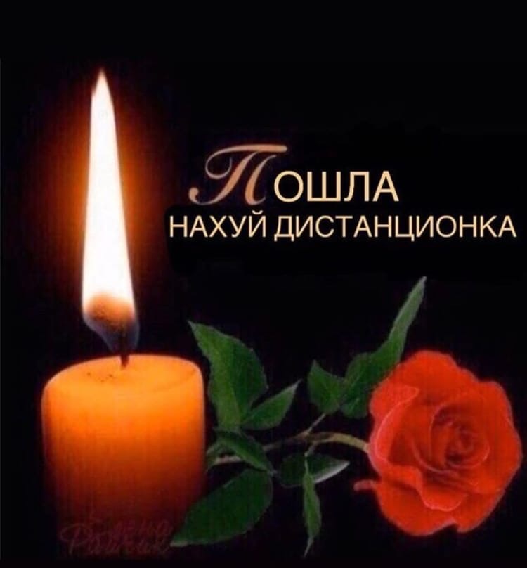 500 рт и я кидаю это в беседу класса с учителями