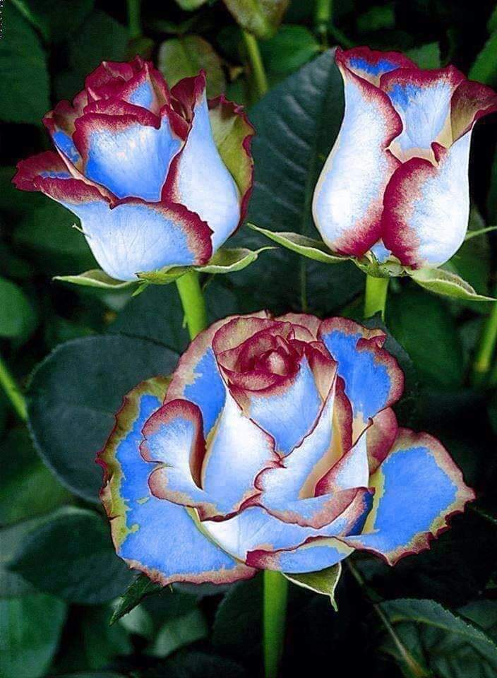 abuthaker11's tweet photo. @_Paolita0 https://t.co/YVW1HwwPgz