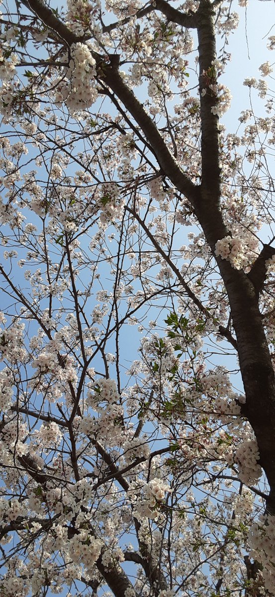 Huu04's tweet photo. フォローありがとう😆💕✨の、お写真笑笑
これから、よろしくです！！
(馴れ馴れしくて、ごめんなさい💦) https://t.co/muH0cZlt91