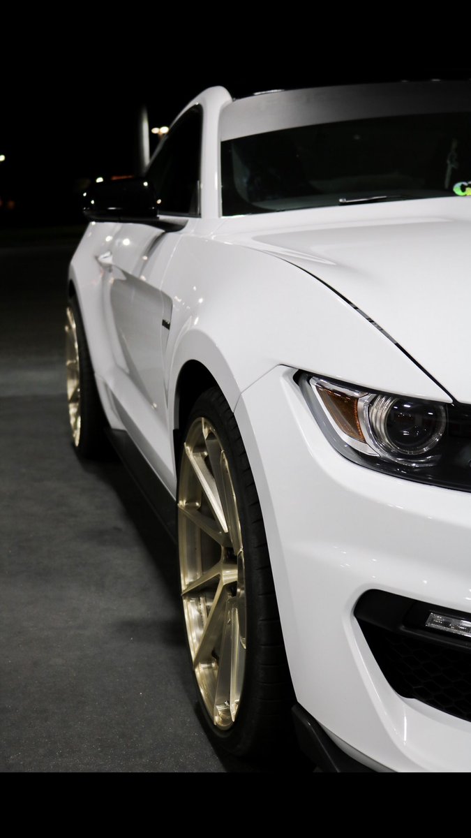 Jameson_Life's tweet photo. Sooo I got a new camera and here are a couple of the first shots I took 📸 #GT350 #Cars #Mustang https://t.co/GX26bgt1zQ