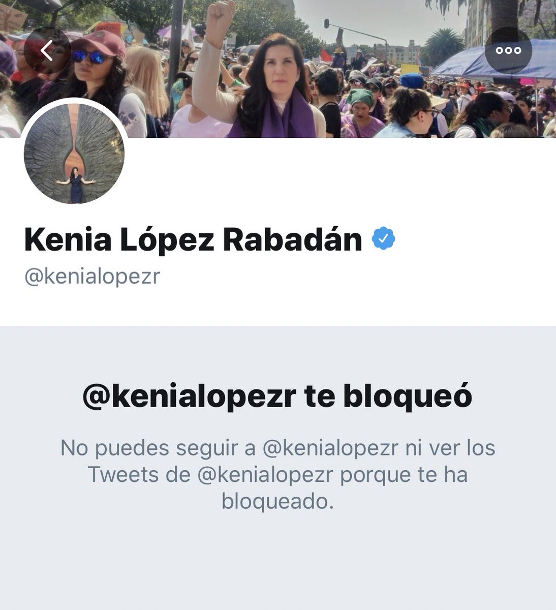 VLorelei's tweet photo. La senadora @kenialopezr del PAN me bloqueó porque le avergonzó que le dijera que no está informada (no la insulté ni nada).

¿Nos amparamos o dejamos que vulnere nuestro derecho al acceso a la información? 🧐 https://t.co/trYDkvuvCv