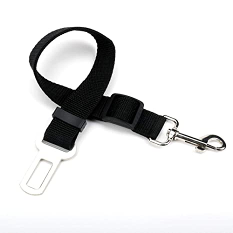 PuppifyM's tweet photo. ¡¡Viaja siempre seguro!!

Tenemos las correas para que tu mejor amigo te acompañe seguro a todos lados. 🐾🚗 https://t.co/OgZLUwb3jJ