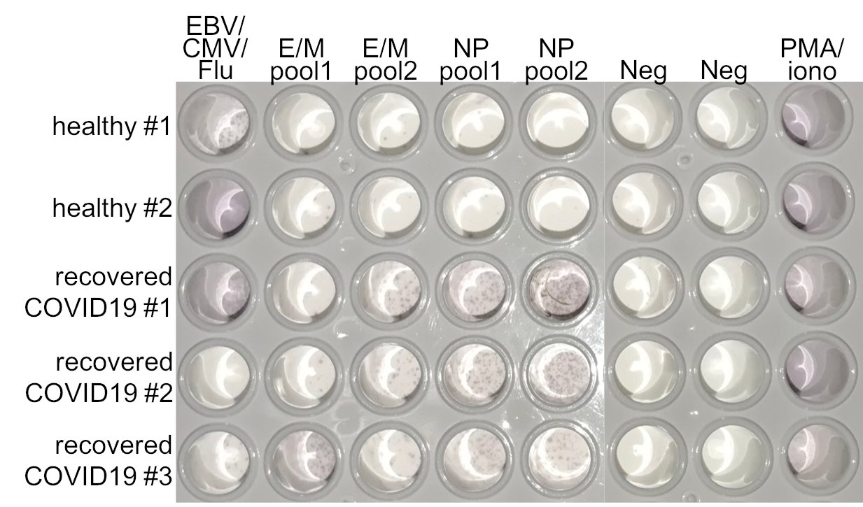 Patrizia Caposio (patriziacaposio) / Twitter