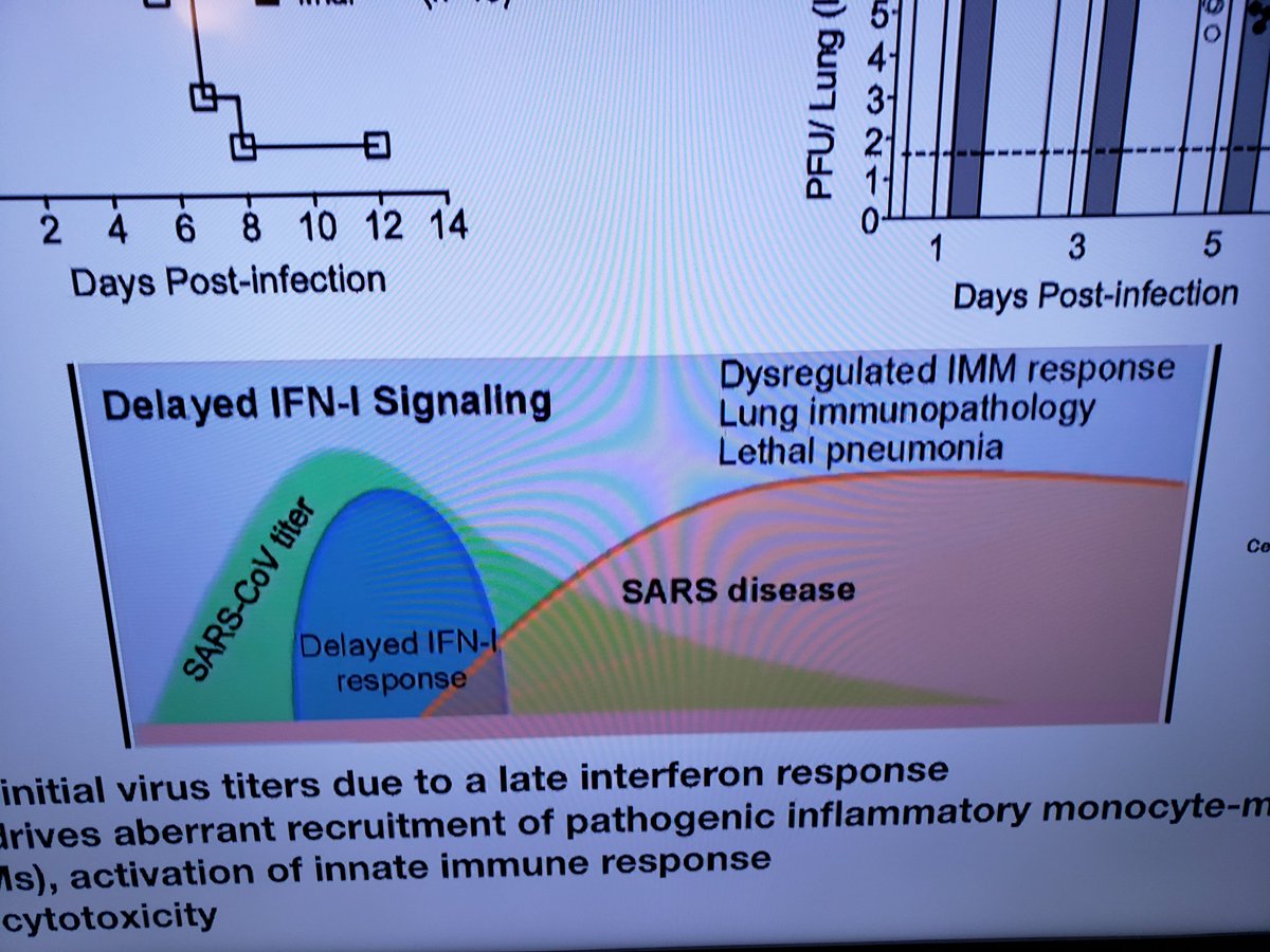 The virus has multi-pronged molecular mechanism that works to evade interferon signaling (ie. Body recognizing virus is there) before it reaches its titer. This is what makes it dangerous.