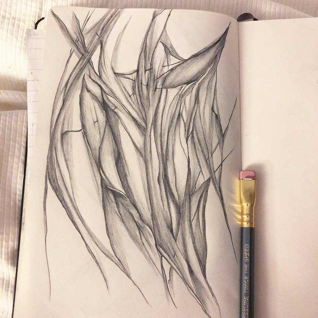 theesaracee's tweet photo. More lines, more layers.
#sketchbook #markmaking #drawing #pencildrawing #moleskine #blackwingpencil #missingmykitty #drawingkeepsmecalm #lines #lineart #nighttimesketching https://t.co/cUvJzDi7f0 https://t.co/IWVKwMbMSU