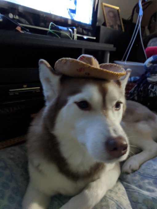 I have been helping my mom clean out her attic. I found my tiny sombrero today so of course I had to