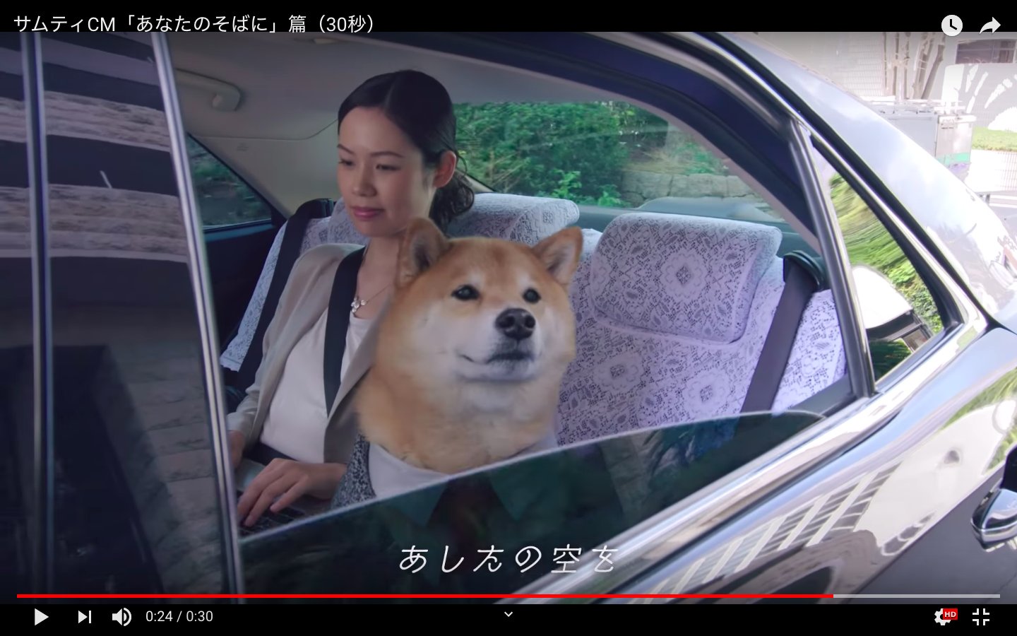 Zon Taichiro Otomo サムティのcmに出てる芝犬まる Marutarostaff がかわいすぎる件 もっふもふしてやがる T Co Bfxgw2fykl Twitter