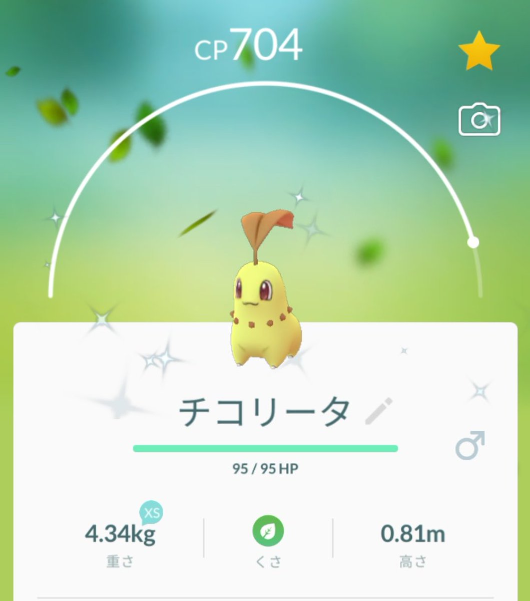 ドンファン ポケモンgo福岡 色違い2匹とドッコラー100 ゲッツ ドンファン ポケモンgo福岡 色違い2匹とドッコラー100 ゲッツ