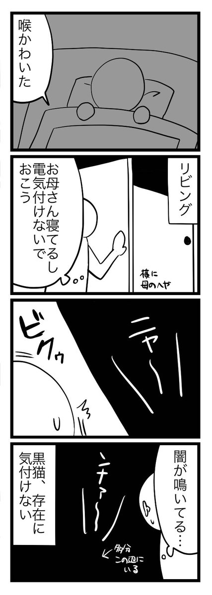 暗い部屋と黒猫 