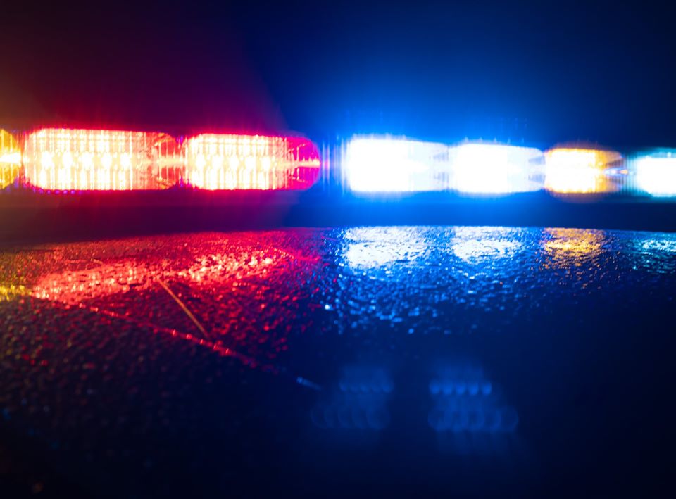 Pct4Constable's tweet photo. After a brief pursuit Constable deputies have one in custody and are searching for one more in the 2800blk of Trailing Vine Rd. 
We have K9 is on the ground and DPS air support actively searching for the second suspect. Avoid the area if possible
#pursuit #oneincustody https://t.co/p2d5unyJM0