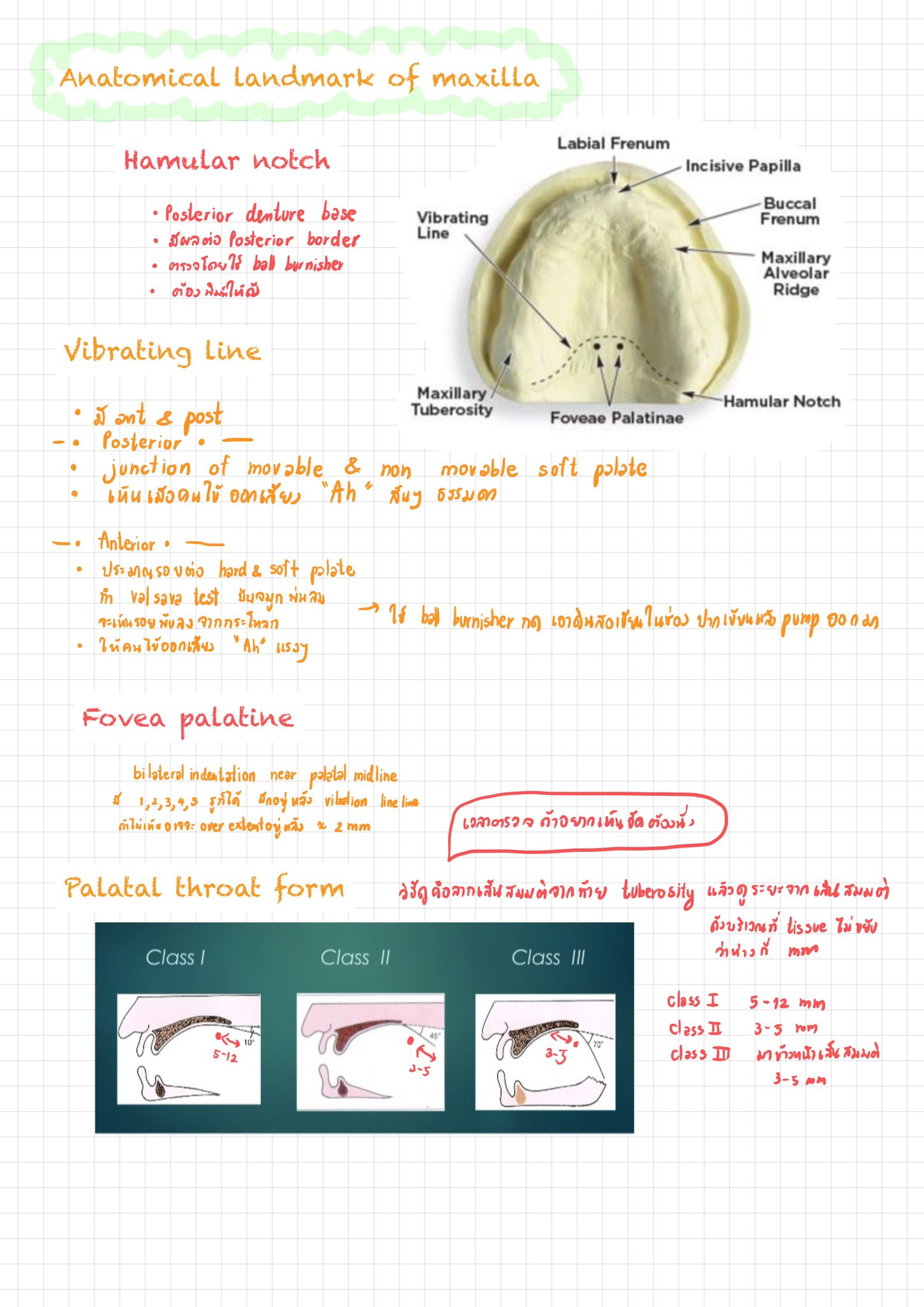 โฟ the normal one on Twitter "Anatomical ที่ต้องดูในฟันบนล่าง ประเมิน