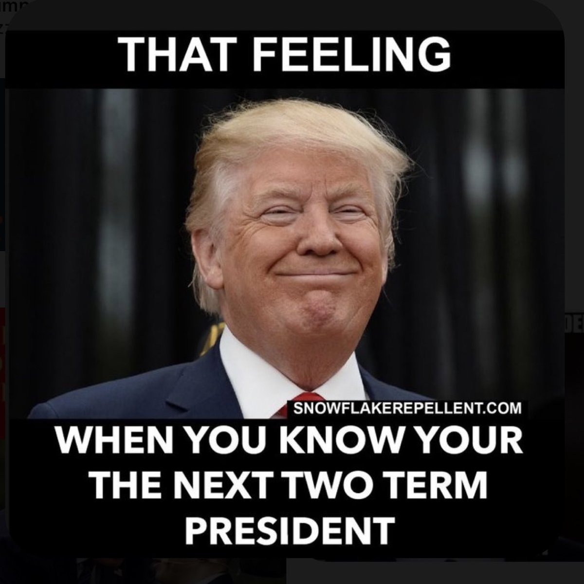 lanotaD1's tweet photo. @LMET1111 @JodieMoss76 @realDonaldTrump https://t.co/XwK28uWRZq