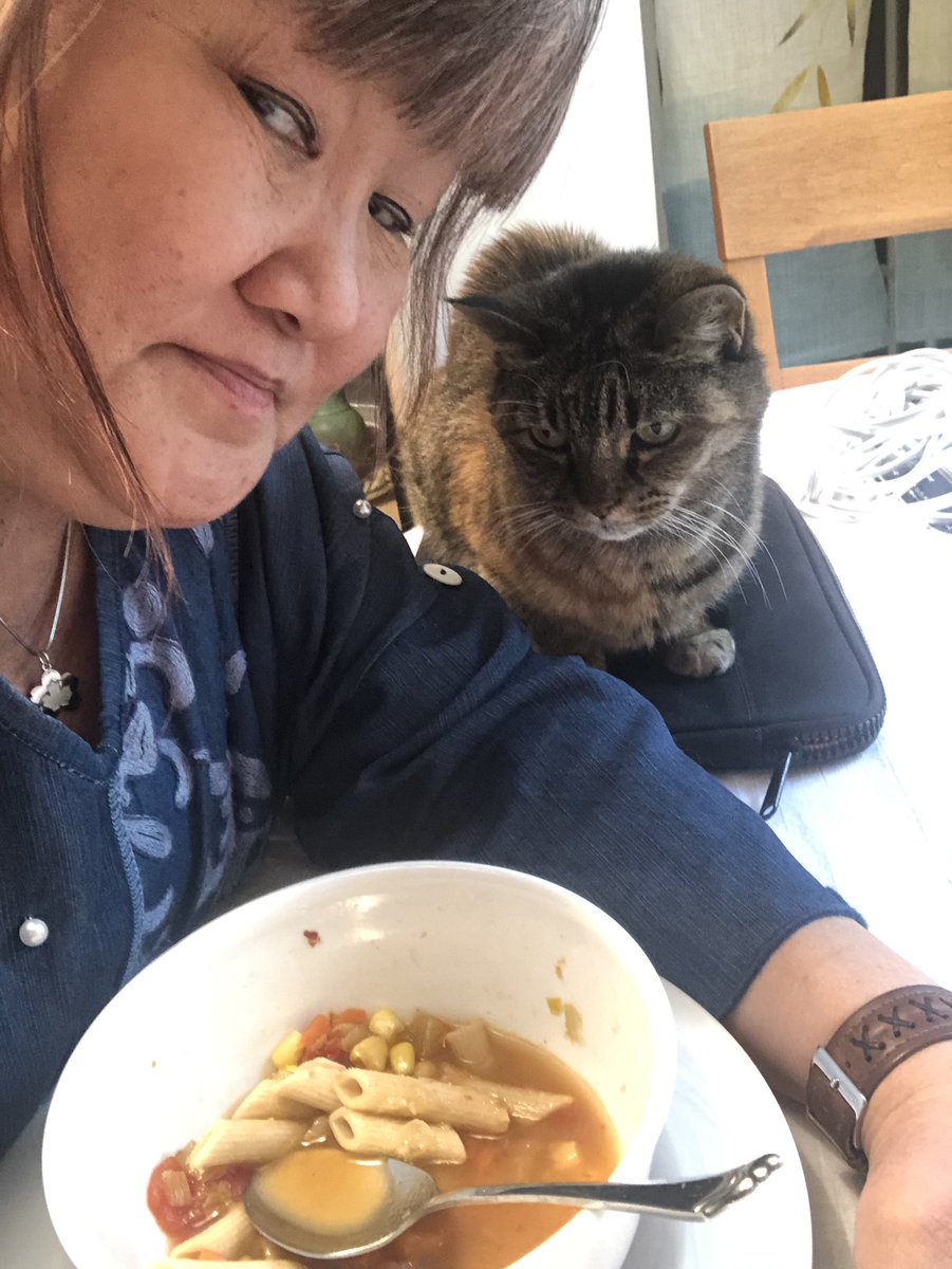 AprilSora's tweet photo. Special weekend #LunchandLearn with CleoPatra, Director of Representative Workforce. Topic: Life in a Time of Corona... While Looking Asian!
#viralracism #workfromhome #CleoPatra #CatBert #housecats #catsofinstagram #covid2020 #covidsk https://t.co/jypi3KPBEN
