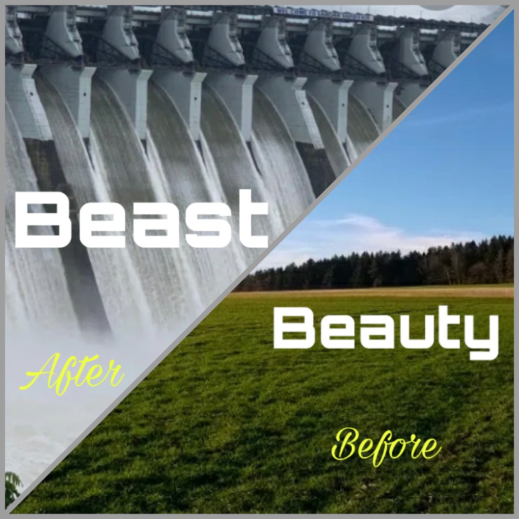 Ghode2000's tweet photo. @ghadaaj3 # Beauty# Beast# https://t.co/o4e4uaZ57p