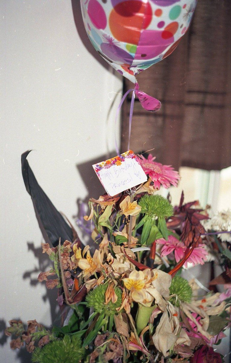 seinfuck's tweet photo. looking at old film i shot and realizing i will never see things like how i did when i was 18 https://t.co/nUyCu4OUhb