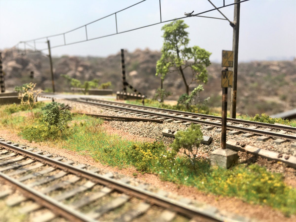 TDioramas's tweet photo. Wild Flowers. #hoscale #modelrailway of #indianrailway theme. https://t.co/4MaGDCrE8w