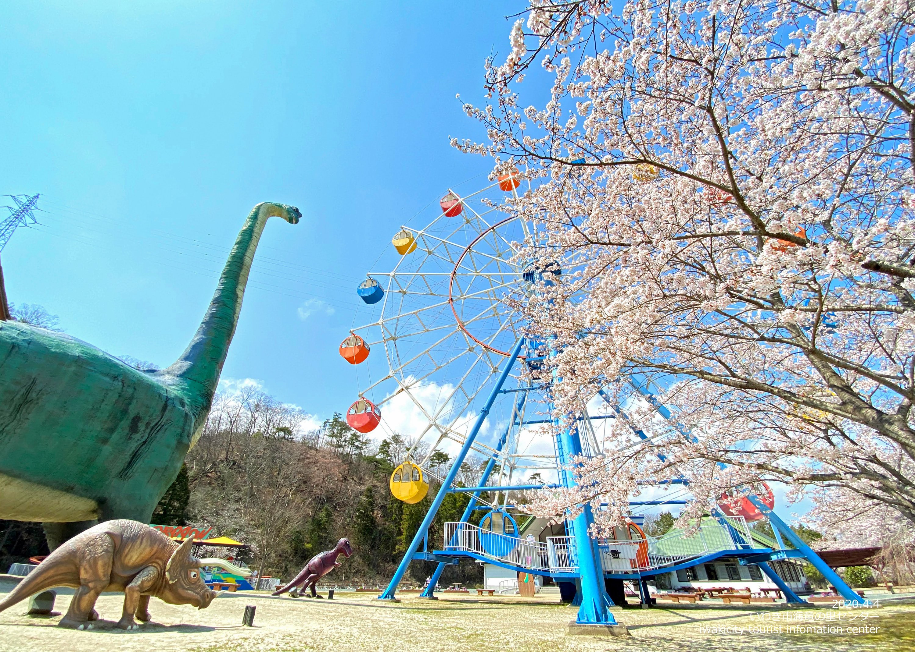 在 Twitter 上查看 Kankouiwaki 在 年4月6日的推文 Twitter