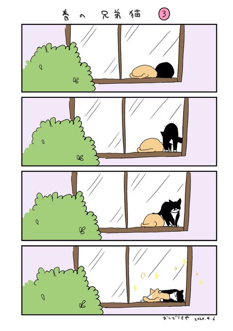 兄弟猫のtwitterイラスト検索結果 古い順