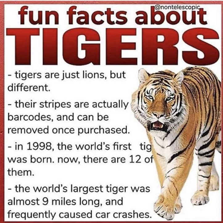 DC fanboy tweet media