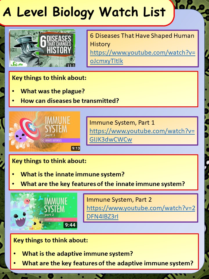 David Chalk tweet media