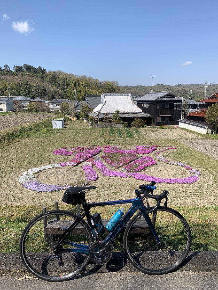 ミステリーサイクル Hashtag On Twitter