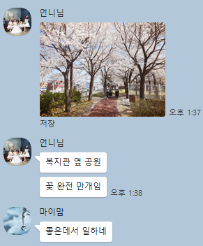 yem_mu's tweet photo. 첫째딸 : 사회복지사
막내딸 : 생태연구원
둘째딸 : 게임원화가 https://t.co/QZT7niKyml