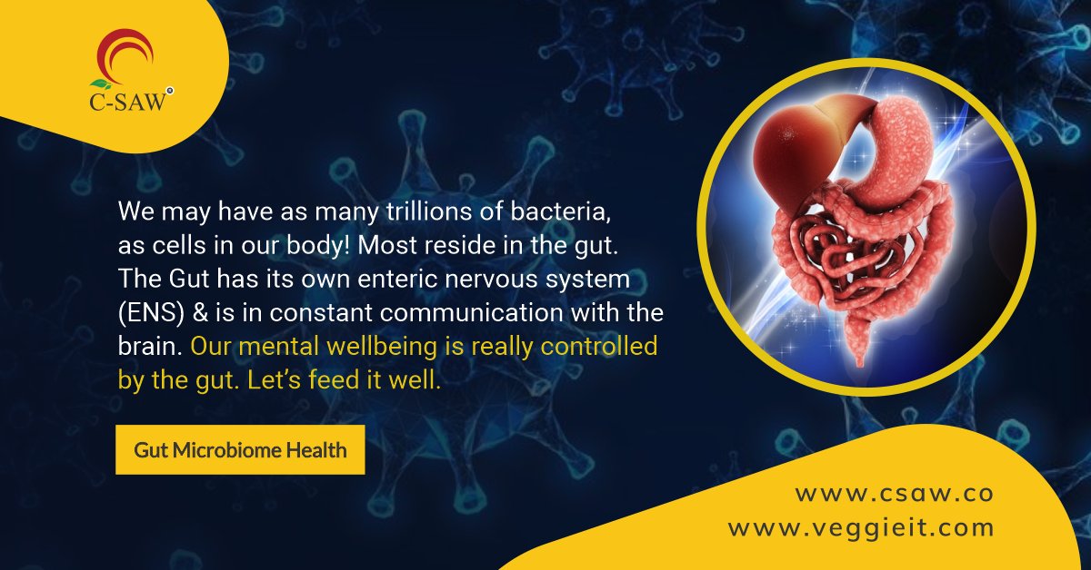 Ashokvasudevan's tweet photo. Let's be conscious of what we eat. We are feeding more than our stomach. We are feeding our brain. We are designing our mood. Visit #veggieit and learn the power of plants. #Covid_19 #guthealth https://t.co/7X48LtK9lE
