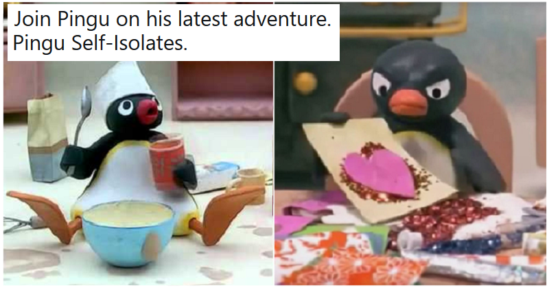 ThePoke's tweet photo. ‘Pingu self-isolates’ is the relatable content we all need right now. #Recap 
https://t.co/iuOeLNBzia https://t.co/nv1h01tFL8
