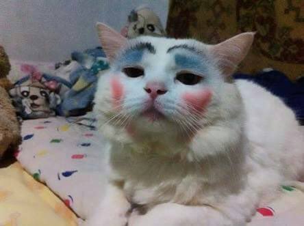 ;~;