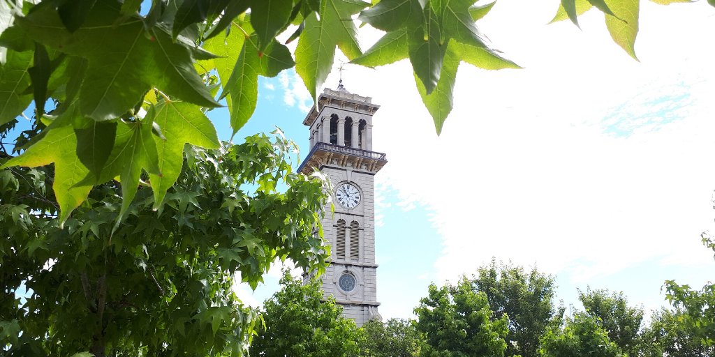 CallyClockTower tweet media