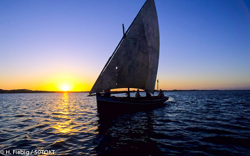 Treasures_Kenya's tweet photo. Happy new week greetings from the ever mesmerizing Lamu Archipelago ππβ΅οΈπ£
#MondayMotivation #ThisIsMyKenya #MagicalKenya #TreasureKenya #WhenThePandemicIsOver #DiscoverKenya #DiscoverLamu #TembeaKenya #LamuArchipelago #DhowSailing https://t.co/mCdI2mQvMg